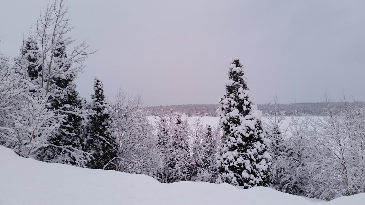 Residence Touristique Lodge Des Bois Saint-Félix-d'Otis Buitenkant foto